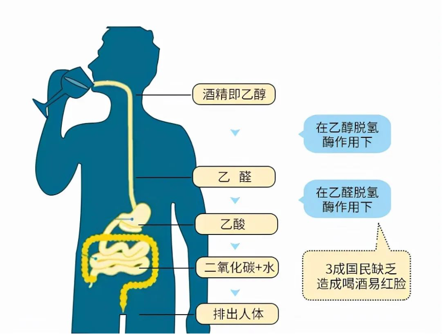 什么是窝沟封闭有什么坏处,窝沟封闭与灵活性策略解析，一种超越常规的健康与智慧选择,精细策略定义探讨_Nexus90.21.28