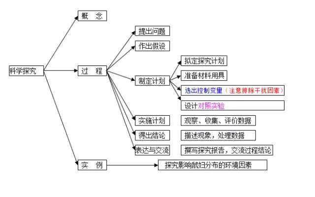 复鞣剂与树脂跟硅胶哪个好一点,复鞣剂、树脂与硅胶的科学分析，解析三者优劣，探讨适用场景,权威方法推进_高级款70.95.60