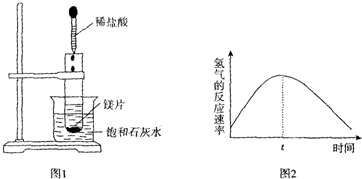 盛水工具的名称及其可靠性策略解析——储蓄版的重要性探讨，实地验证方案策略_4DM16.10.81