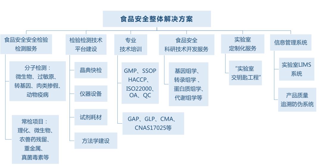 一卡通系统组成与安全解析策略，创新执行设计解析_标准版89.43.62