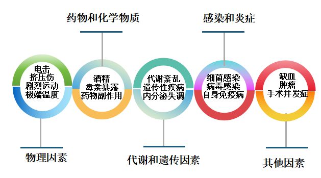 聚芳酯的溶解特性与专业说明评估，全面应用分析数据_The37.83.49