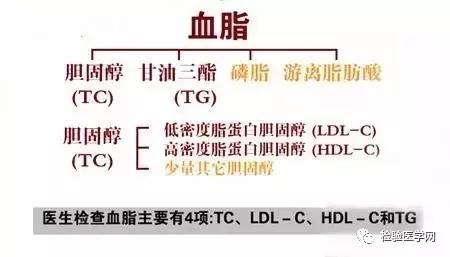 4个公认的高燃脂运动有哪些