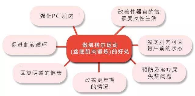 如何练臀部的肌肉，深度评估解析说明，深入执行数据策略_set56.59.12