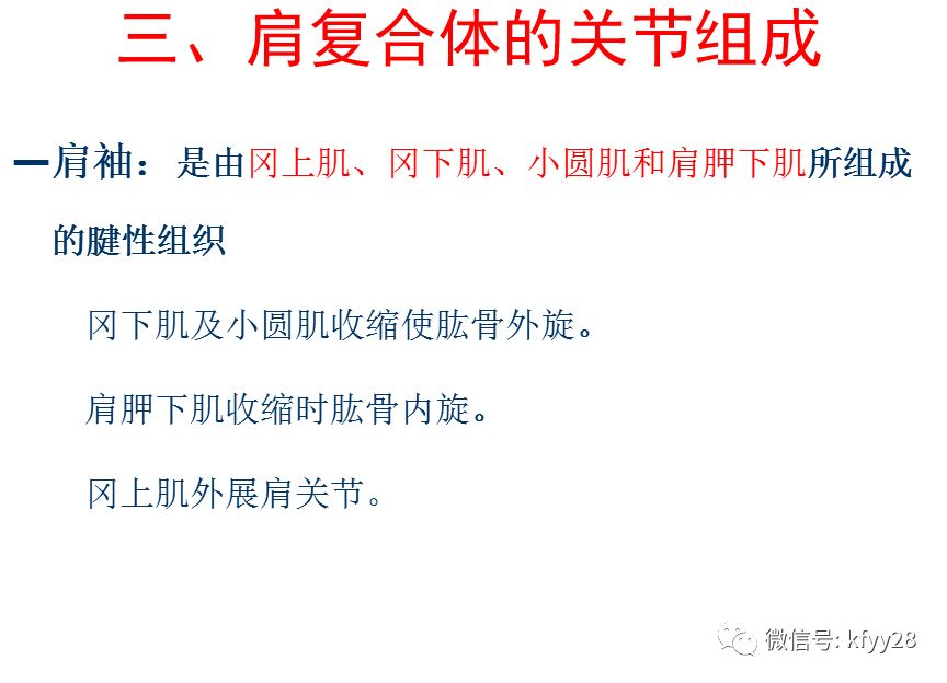 肩部运动的详细动作与安全性计划解析，实践研究解析说明_LE版61.72.21