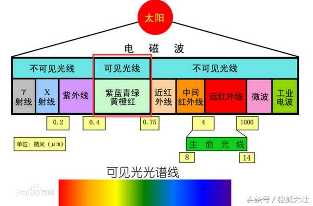 验钞灯和紫外线灯一样吗