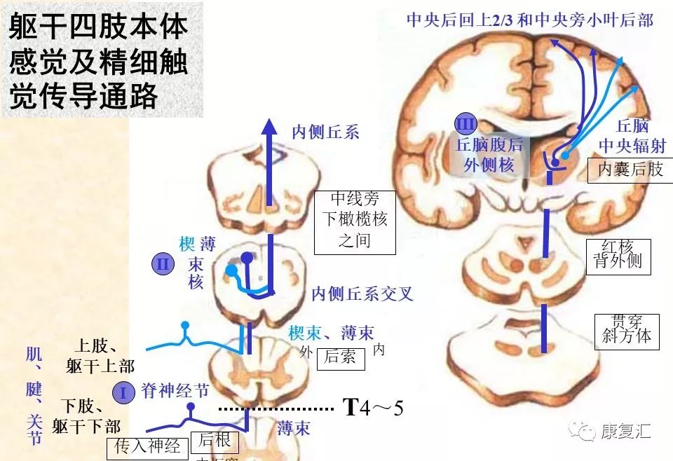 前列腺炎有些什么症状惠州广济专家