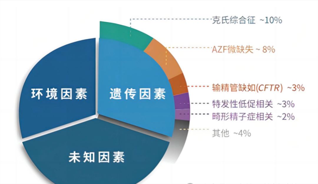 治疗男性不育医院哪家好