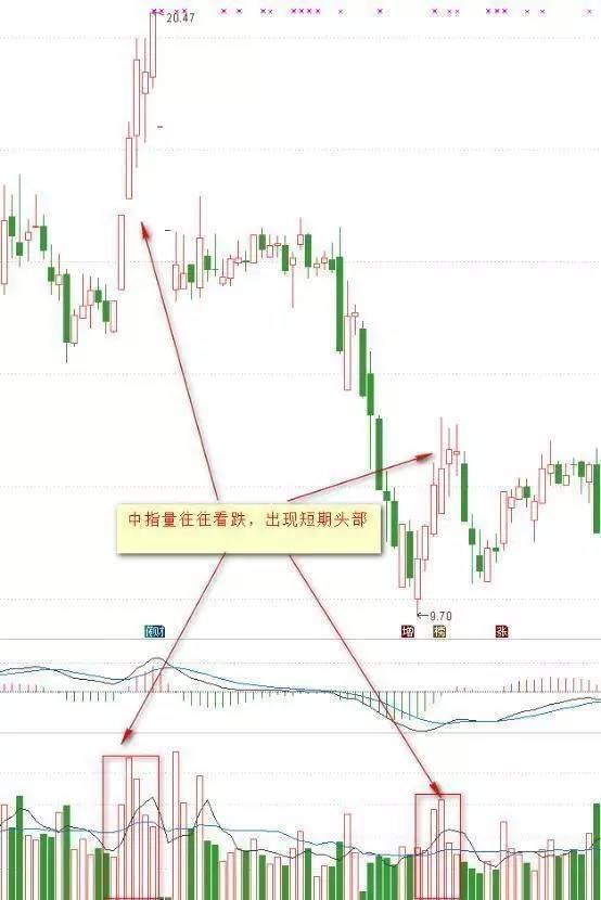 提高基础代谢率的6个方法