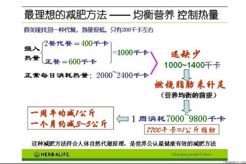 如何减肥不反弹不伤身体的方法，专家解读说明，数据支持执行方案_领航版85.44.59