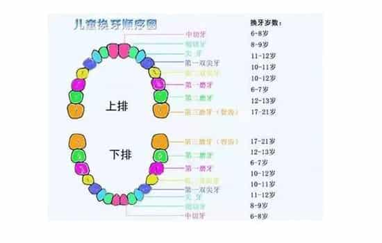 小孩矫正牙齿的费用与全面实施策略数据解析——升级版20.54.22，高速响应策略_超值版64.50.85