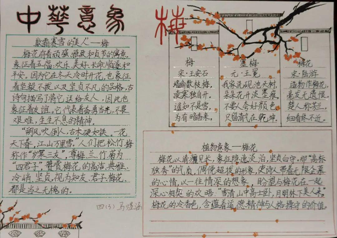 柳条后面填什么四字成语？最新研究解释定义——探寻自然之美与优化生活之道（优选版86.87.89），深度数据应用实施_拼版16.76.94