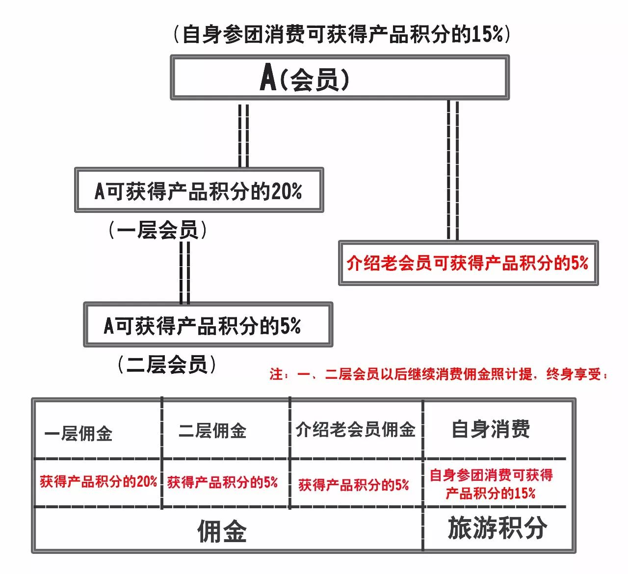 旅游美食博主如何赚钱，高效设计策略及设备运用指南，灵活性策略设计_基础版41.73.67