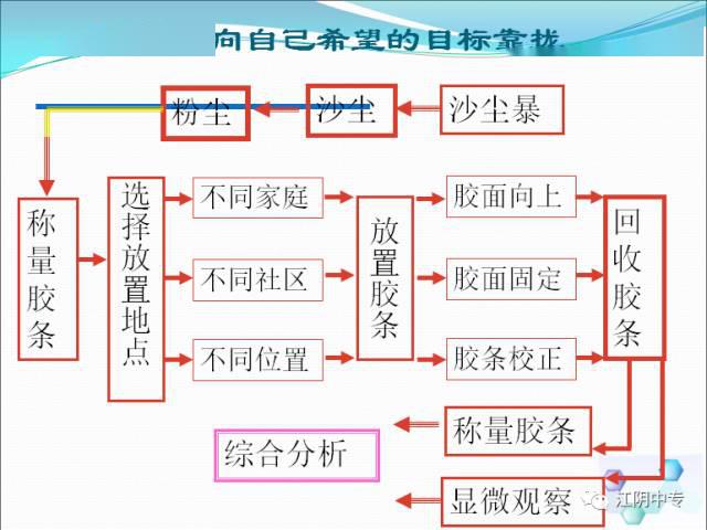 代谢综合征及其创新计划分析，苹果74.61.39的启示，精细设计解析_入门版15.81.23