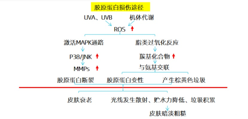 深圳减肥营养师招聘