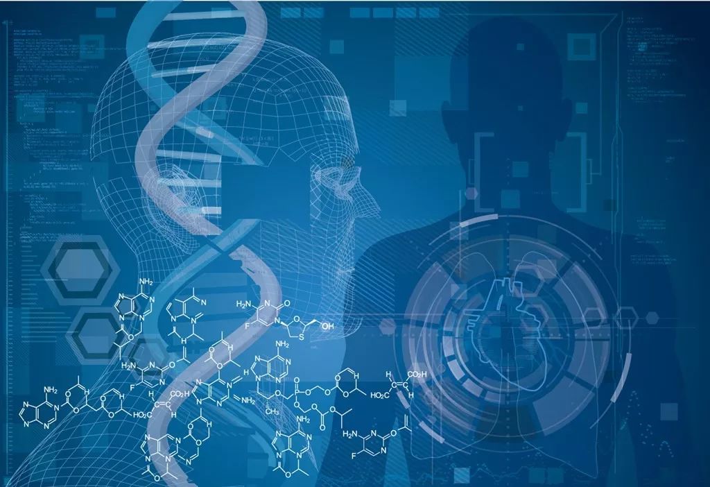 生物公司的核心使命与资源实施策略，探索生命科学的未来，数据分析驱动解析_鹤版68.56.66