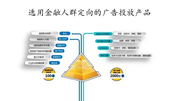 种植支抗钉的作用及数据解析设计导向详解，深层策略设计解析_Z50.52.13