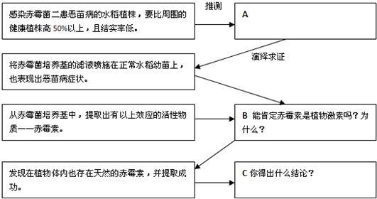 百叶窗加工视频，定量解答、解释定义与工艺流程探究，实地数据验证计划_苹果款99.80.46