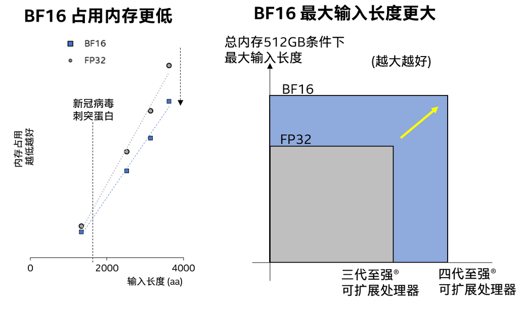 李子婷是谁